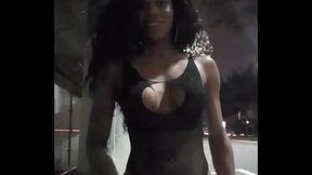 Lav&iacute_nia  trans dotada