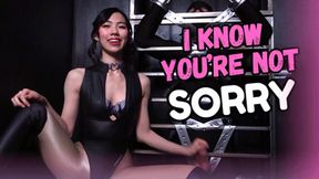 I'm Sorry Mistress