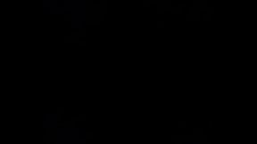 IMG 0887.MOV