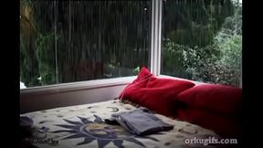 asmr: geme como ninguem no amigo no dia chuvoso