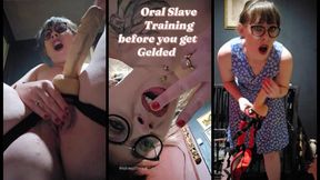 Oral Training before you're Gelded