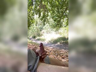 Penis flash to a teenager