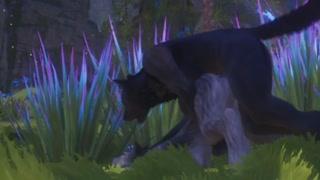 Rahn The Wolf Anal Knots &amp; Cums Inside Female Wolf / Wild Life Furries