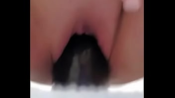 Vegetal 3