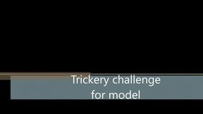 Trickery challenge for model WMV