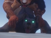 Gay Lion & Wolf Fuck By The Beach and Make Lots of Cum (Furry Orgasm In Mouth) / Wild Life Furries