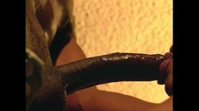 Unleashed Sluts for Anal Fuck