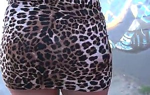 ..s - brooklyn chases