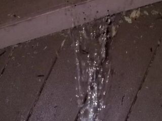 Boardwalk Step Piddle 《4k》