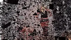 Princess Paris Kicks Bobby's Ass Before They Fuck Passionately