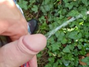 I had a mini pee in the park