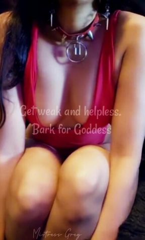 Get weak and helpless: Bark for Goddess 🐶💅😈