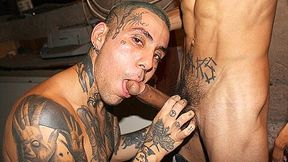 Tatted Punk Sucks Monster Cock