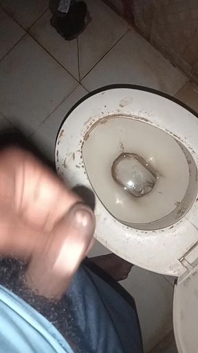 Bhabi ko dekhte hi mene toilet me Jake muth mare