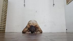 Whipping Orgy in Pantyhose and Stilettos by Princess Nicolle