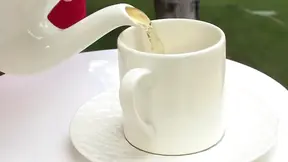 Two Lesbians Fuck in the Garden and Eat Each Other's Cunts
