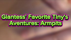 Giantess' Favorite Tiny's Aventures: Armpits