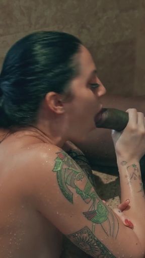 I'm a Professional Trust Me