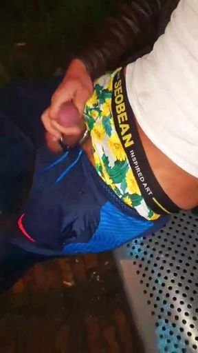 Slutboyben Cam4 Brainfukked Outdoor Pig Iii Exhibitionist