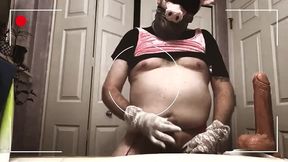 meet the jerking slurping sissy pig joi and feel the need to suck