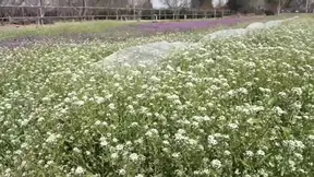 MILF farmer works hard on the field and shows off her beautiful body