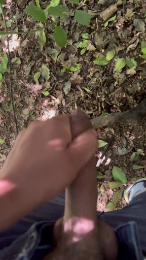 *** Looking for Dick in the Woods