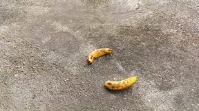 Bare feet that crush trample and crush (3)