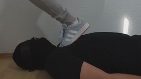 Boyfriend trampled in Adidas Campus sneaker with facestanding and white sock licking