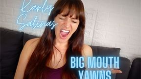 Karly Salinas Big Mouth Yawns HD 1080p MP4