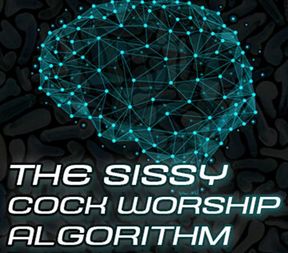 AUDIO ONLY - The sissy algorithm