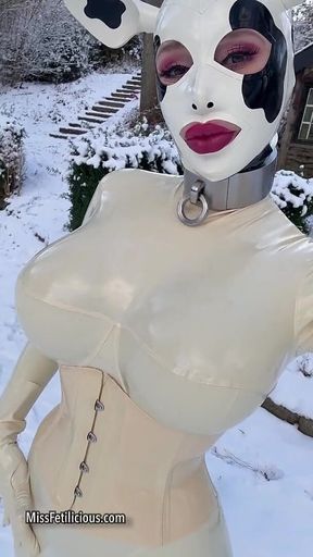 Snow Cow