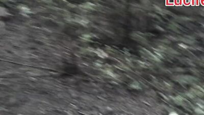 BBC in a forest sides