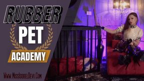 Rubber Pet Academy