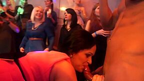 party hardcore gone crazy 17 Video