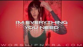 I'm Everything You Need