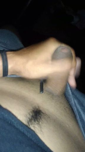 You Are Already Really Enjoying Playing with the Dick