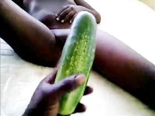 lost cucumber
