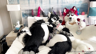 Had so much joy frolicking with @yeenpupbean at AC. She had me .. by emmawerewuff from OnlyFans - Coomer