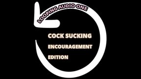 AUDIO ONLY- Looping audio one cocking sucking encouragement edition