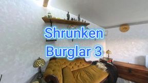 Shrunken Burglar 3 - Squishing for Pleasure - POV