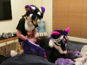 Cheetah Interrupts Laundry Day