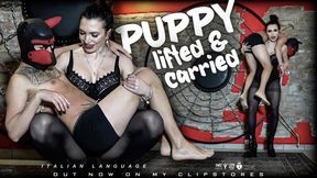 LADY SCARLET - LIFTED AND CARRIED PUPPY mobile