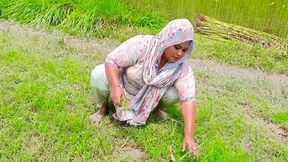Desi Village Hot Bhabhi Hot Big Ass Sex Enjoy Everyone Xxx video