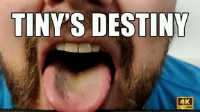 KingMarti: Tiny's Destiny - 4k UHD