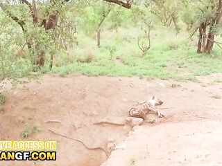 I followed my shy EBONY safari guide off the path and this babe just now begged for her SNATCH to get drilled hard