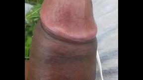 Jo ladki apna bur chudwana chahti h message karae