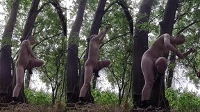 bts self-tying in the woods. there is a virtual reality(!!) recording of this too, which makes you feel like you are really t...