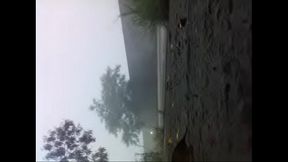 defilapotheigeandcatz101