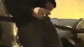 compilation of amateur boys flashing their cocks in the streets or parks