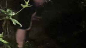 compilation of amateur boys flashing their cocks in the streets or parks